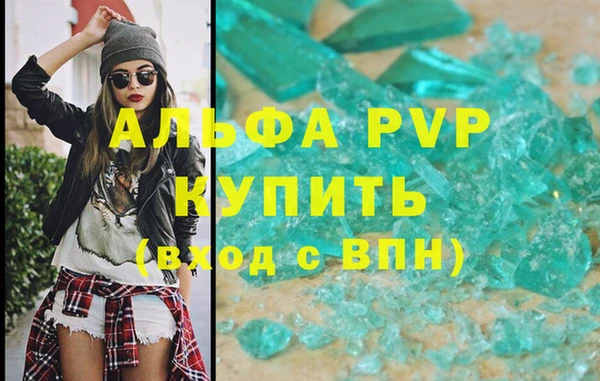 индика Абаза