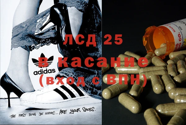 индика Абаза