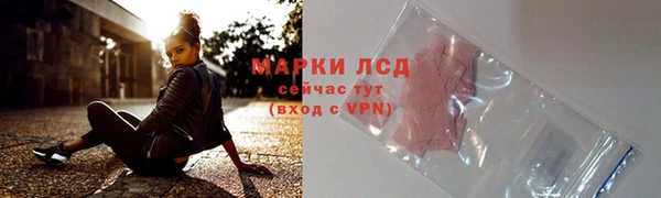 индика Абаза