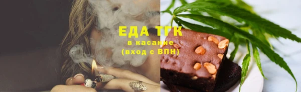 индика Абаза