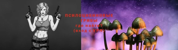 a pvp Абинск