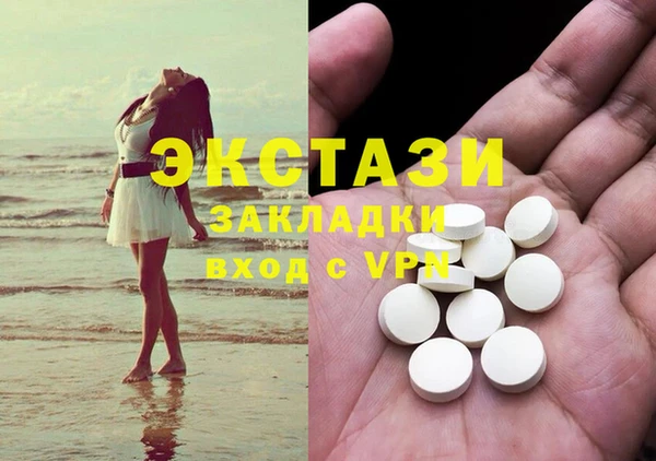 индика Абаза