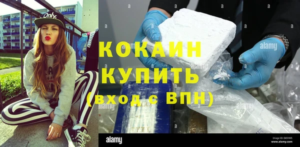 индика Абаза