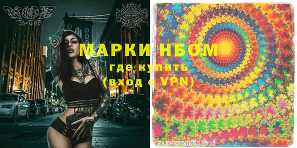 индика Абаза