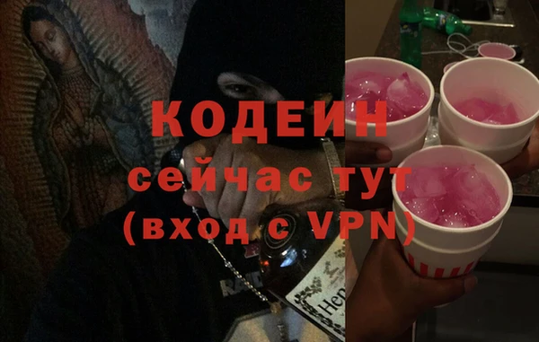 индика Абаза