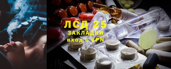 индика Абаза