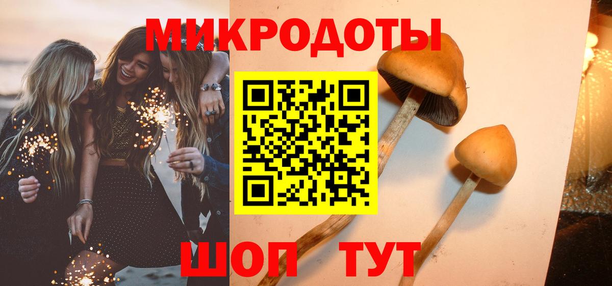 Галлюциногенные грибы Magic Shrooms  Псилоцибиновые грибы GOLDEN TEACHER  дарнет шоп  Черногорск  Вход с VPN 