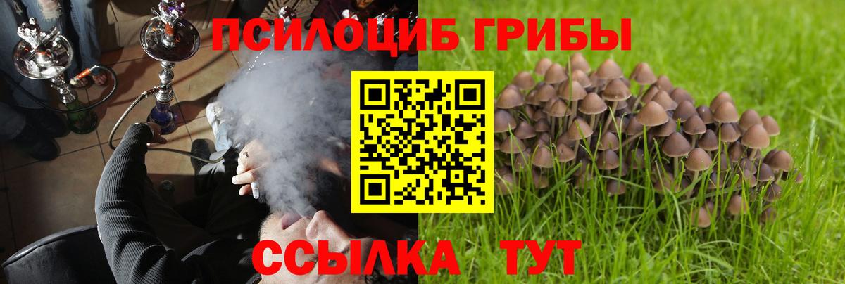 Галлюциногенные грибы ЛСД Черногорск